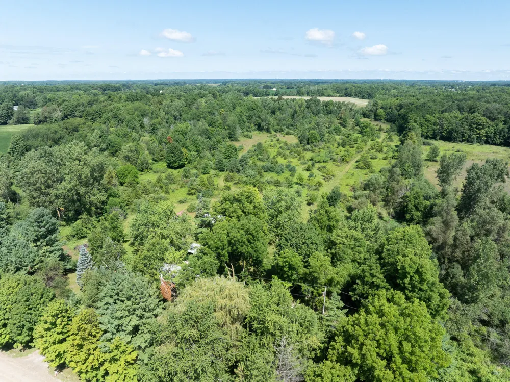 7340 Culbert Road Osseo, MI 49266