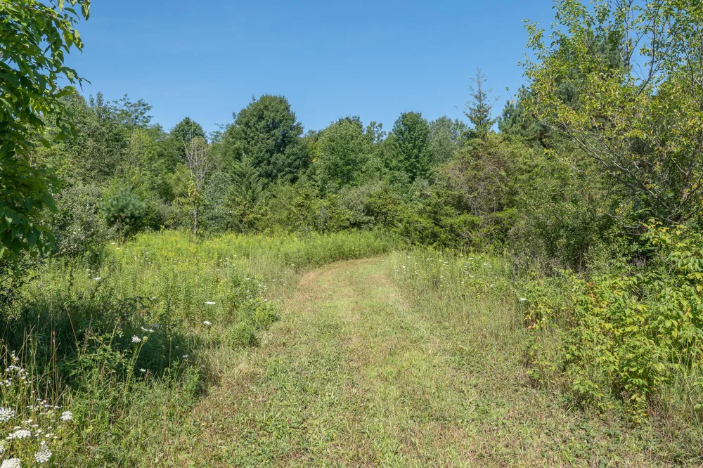 7340 Culbert Road Osseo, MI 49266