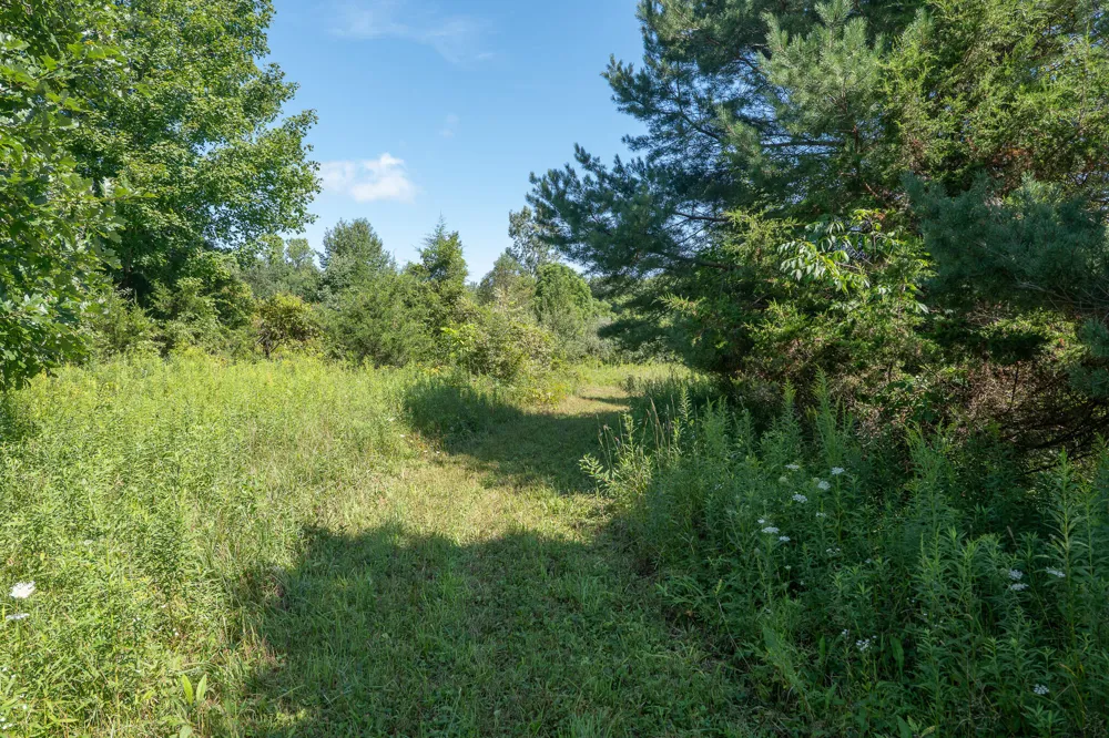 7340 Culbert Road Osseo, MI 49266