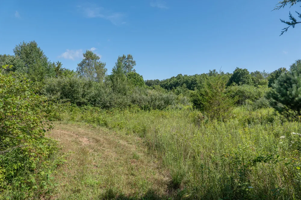7340 Culbert Road Osseo, MI 49266