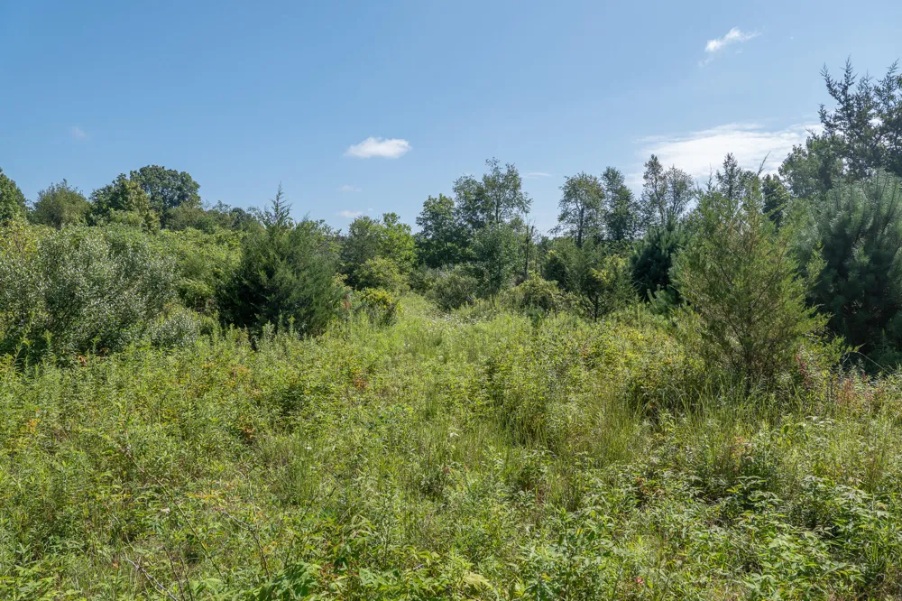 7340 Culbert Road Osseo, MI 49266