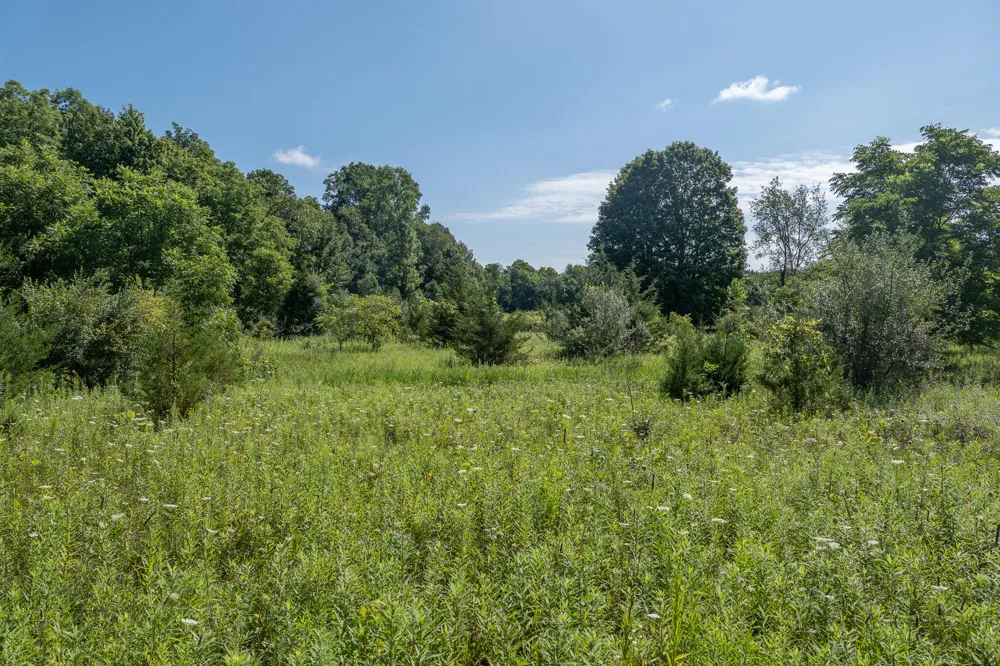 7340 Culbert Road Osseo, MI 49266