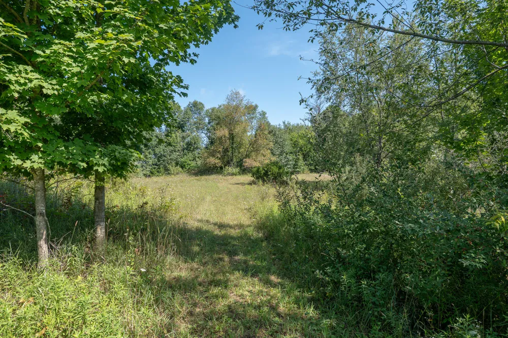 7340 Culbert Road Osseo, MI 49266