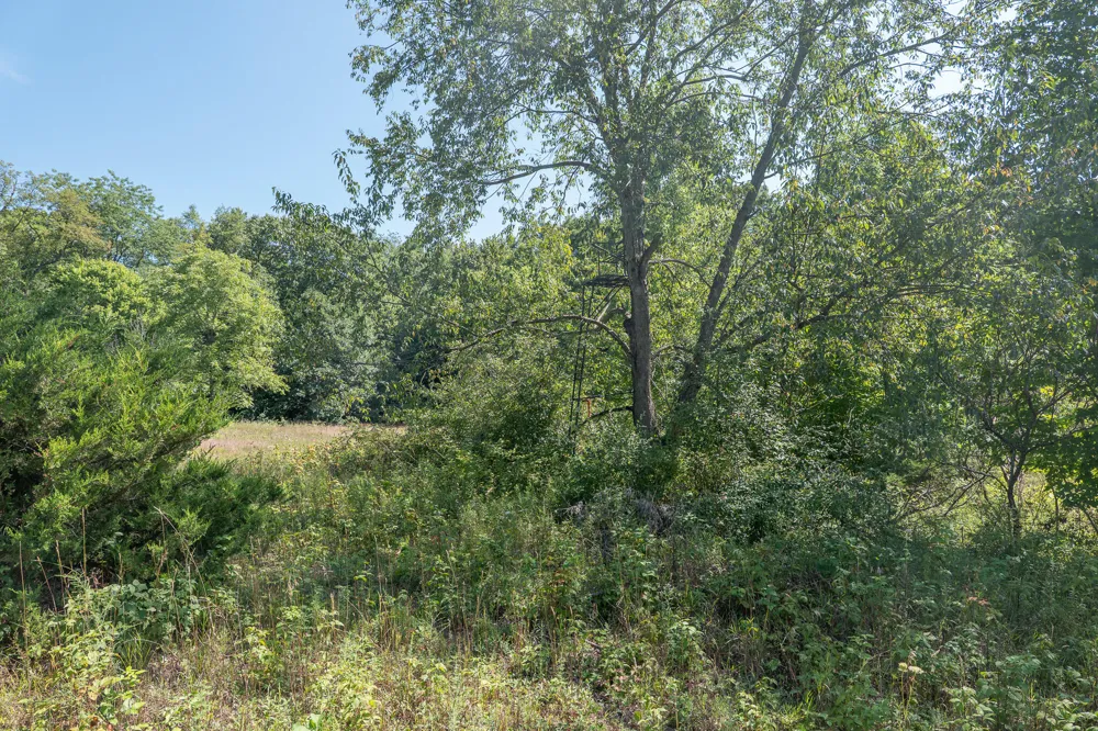 7340 Culbert Road Osseo, MI 49266