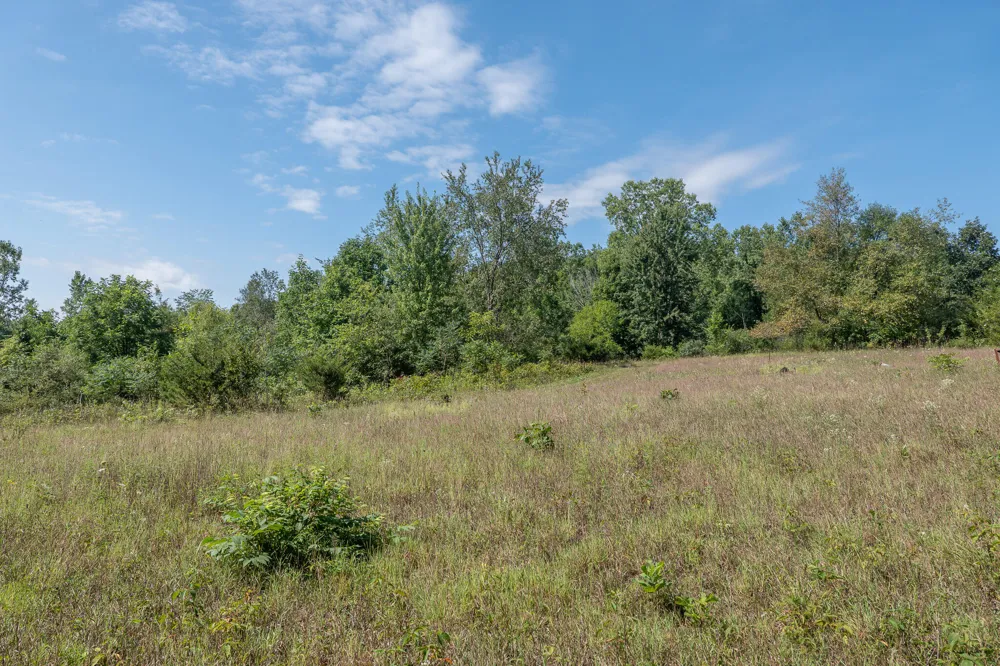 7340 Culbert Road Osseo, MI 49266
