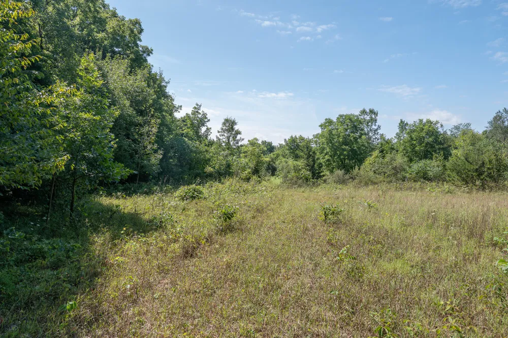 7340 Culbert Road Osseo, MI 49266