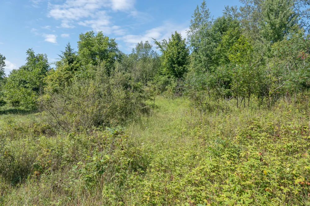 7340 Culbert Road Osseo, MI 49266