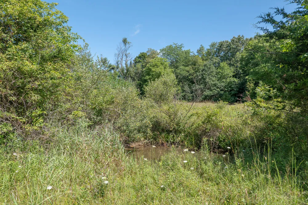 7340 Culbert Road Osseo, MI 49266