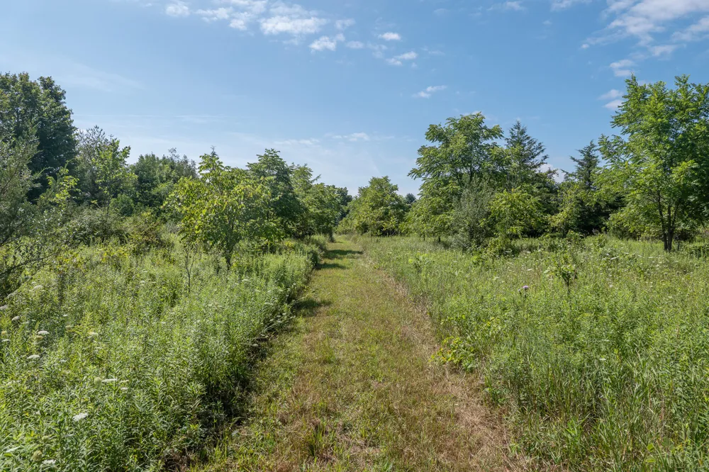 7340 Culbert Road Osseo, MI 49266
