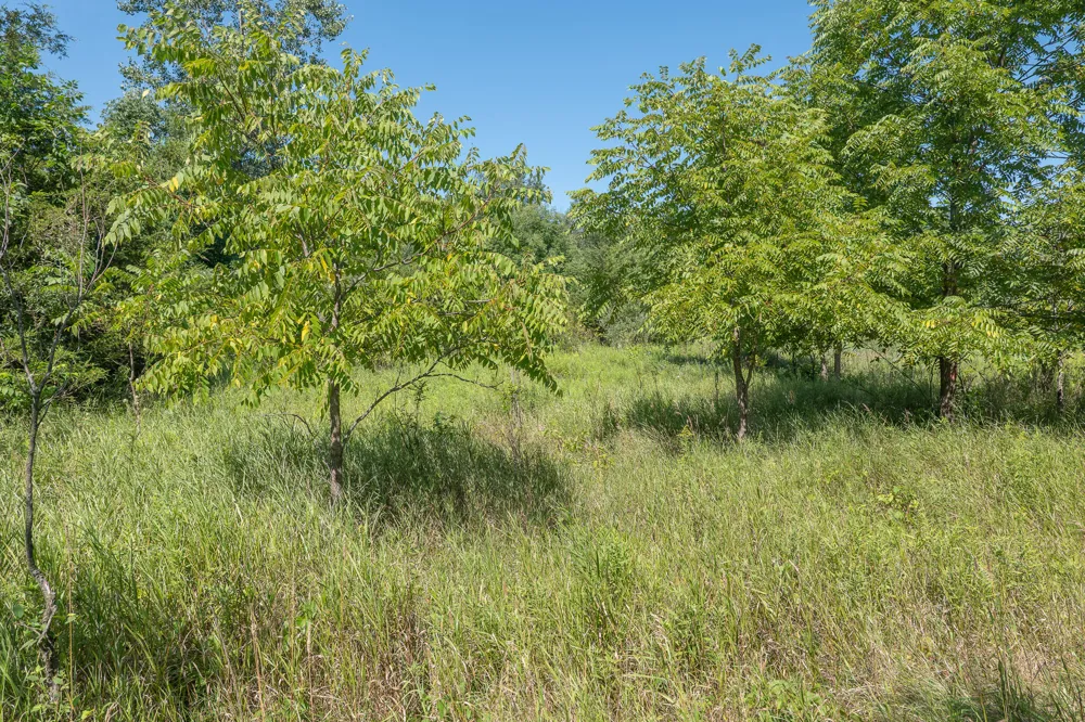 7340 Culbert Road Osseo, MI 49266