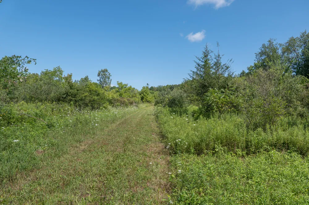 7340 Culbert Road Osseo, MI 49266