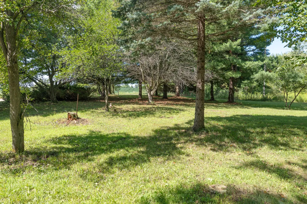7340 Culbert Road Osseo, MI 49266