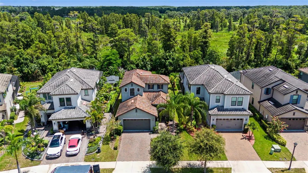 19539 ROSEATE DRIVE Lutz, FL 33558