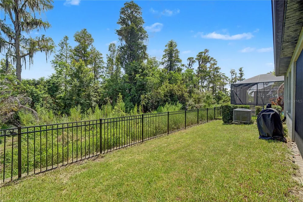 19539 ROSEATE DRIVE Lutz, FL 33558