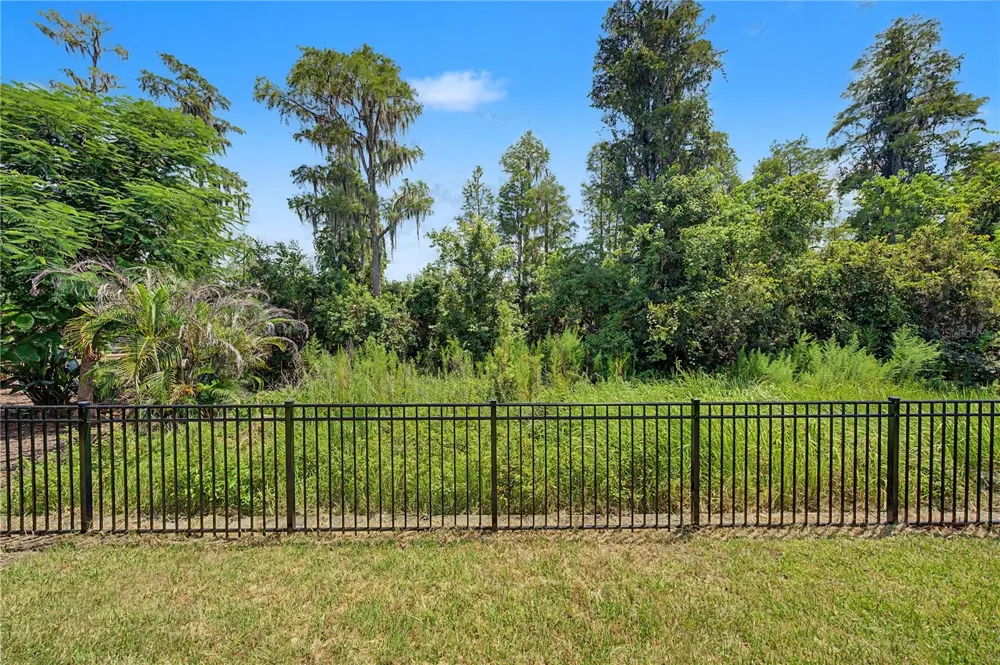 19539 ROSEATE DRIVE Lutz, FL 33558