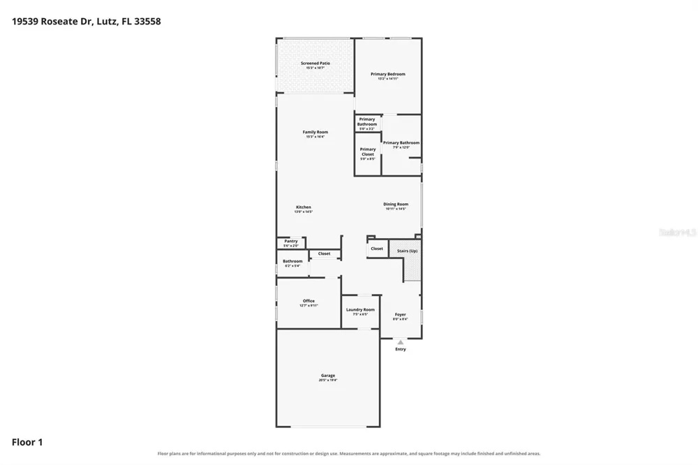 19539 ROSEATE DRIVE Lutz, FL 33558