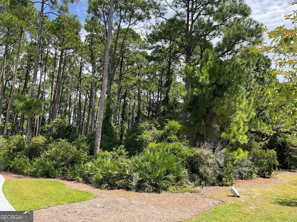 LOT 265 Clubhouse CIR St. Marys, GA 31558
