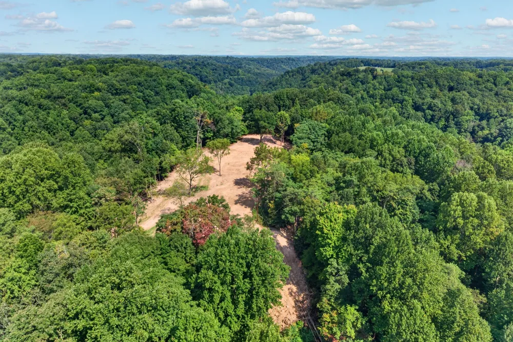 195 Hack Dyer Ln Bloomington Springs, TN 38545