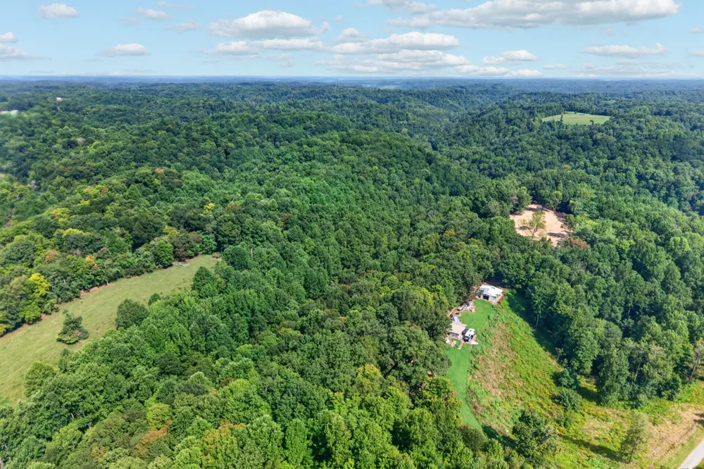 195 Hack Dyer Ln Bloomington Springs, TN 38545