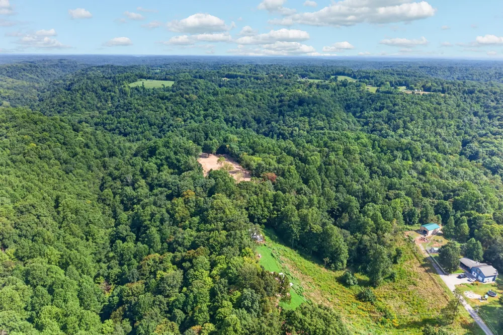195 Hack Dyer Ln Bloomington Springs, TN 38545