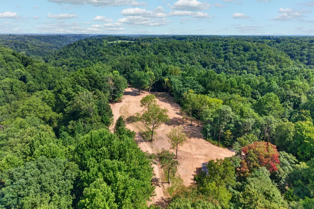 195 Hack Dyer Ln Bloomington Springs, TN 38545
