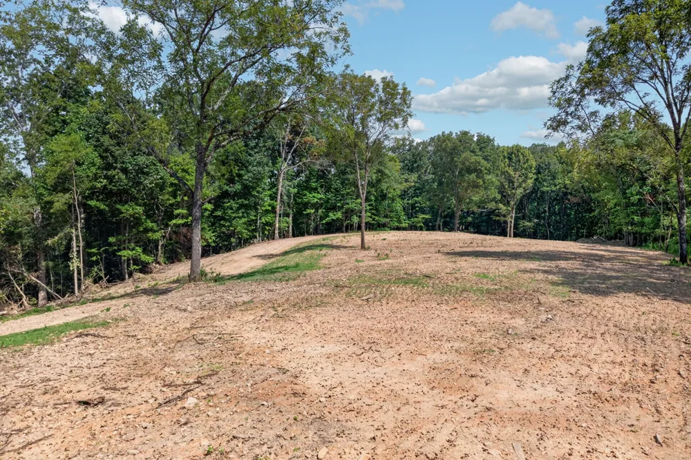 195 Hack Dyer Ln Bloomington Springs, TN 38545