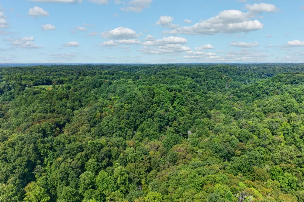195 Hack Dyer Ln Bloomington Springs, TN 38545