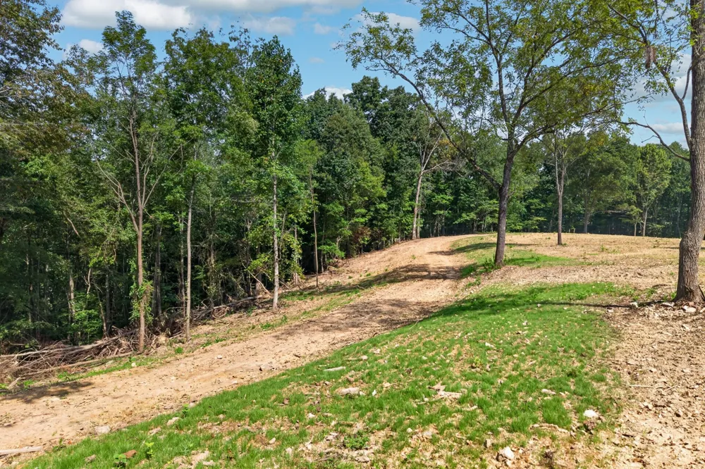195 Hack Dyer Ln Bloomington Springs, TN 38545