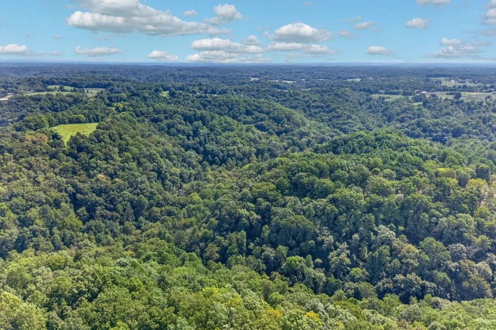 195 Hack Dyer Ln Bloomington Springs, TN 38545