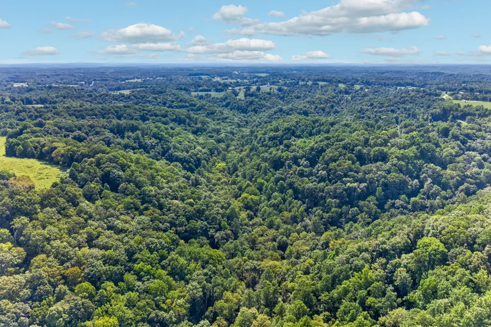 195 Hack Dyer Ln Bloomington Springs, TN 38545