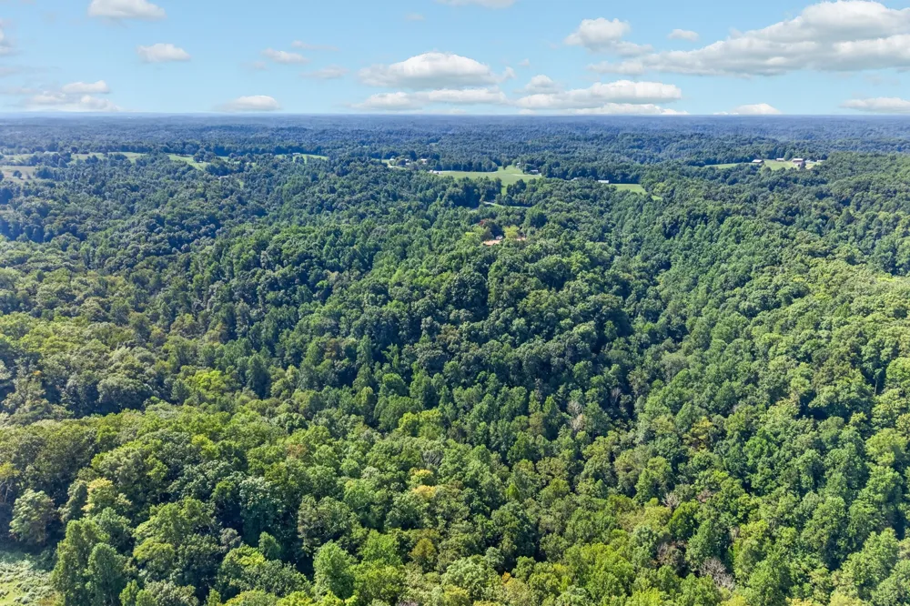 195 Hack Dyer Ln Bloomington Springs, TN 38545