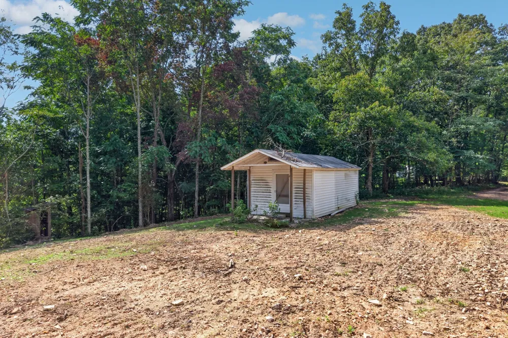 195 Hack Dyer Ln Bloomington Springs, TN 38545