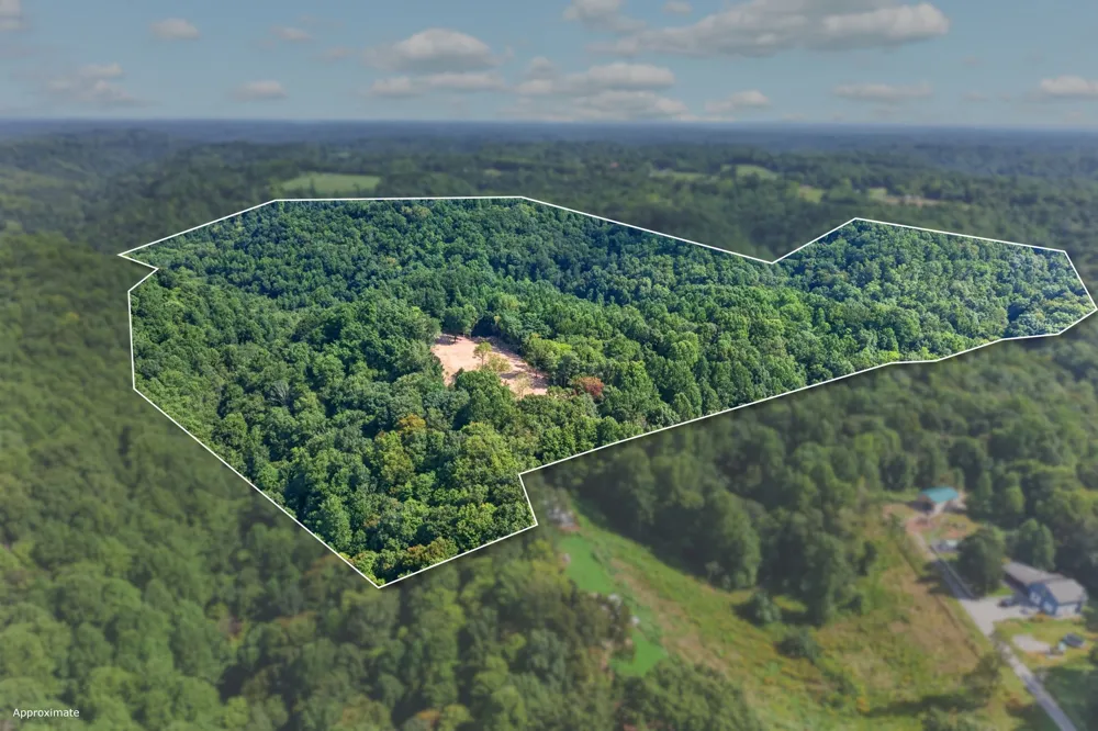 195 Hack Dyer Ln Bloomington Springs, TN 38545