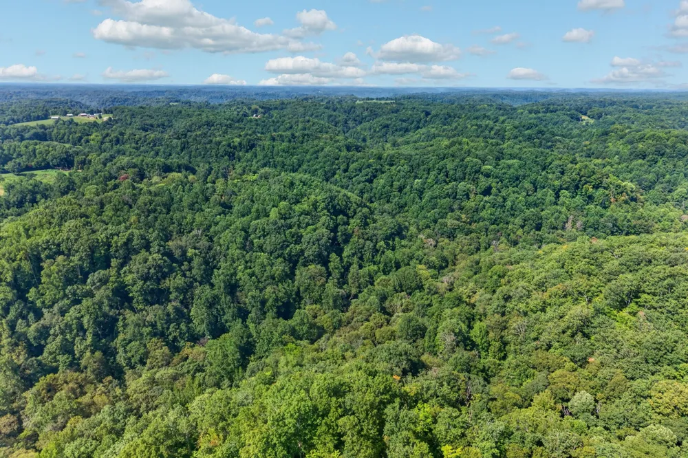 195 Hack Dyer Ln Bloomington Springs, TN 38545