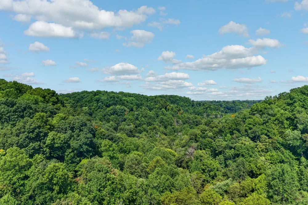 195 Hack Dyer Ln Bloomington Springs, TN 38545