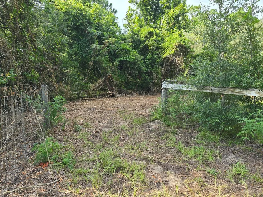 650 NE 138 AVENUE Williston, FL 32696