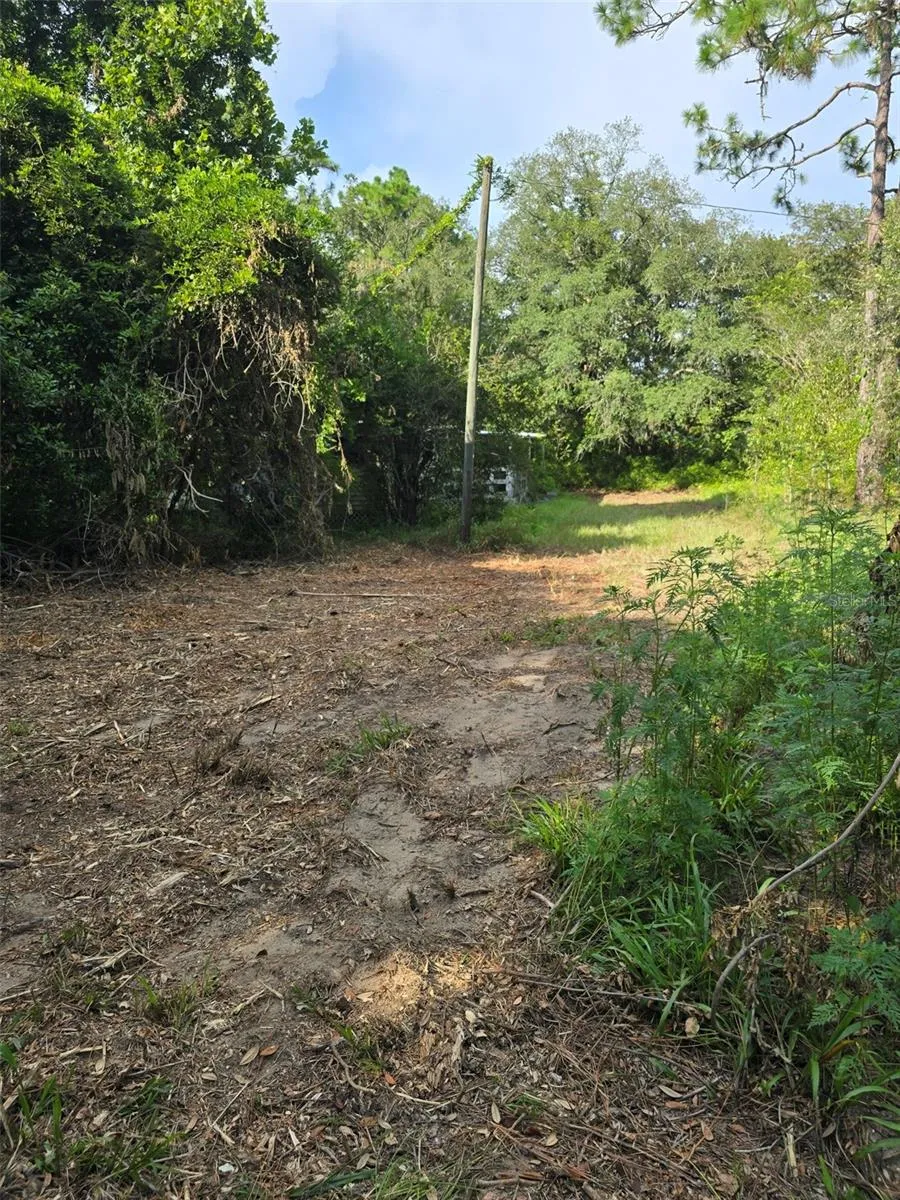 650 NE 138 AVENUE Williston, FL 32696