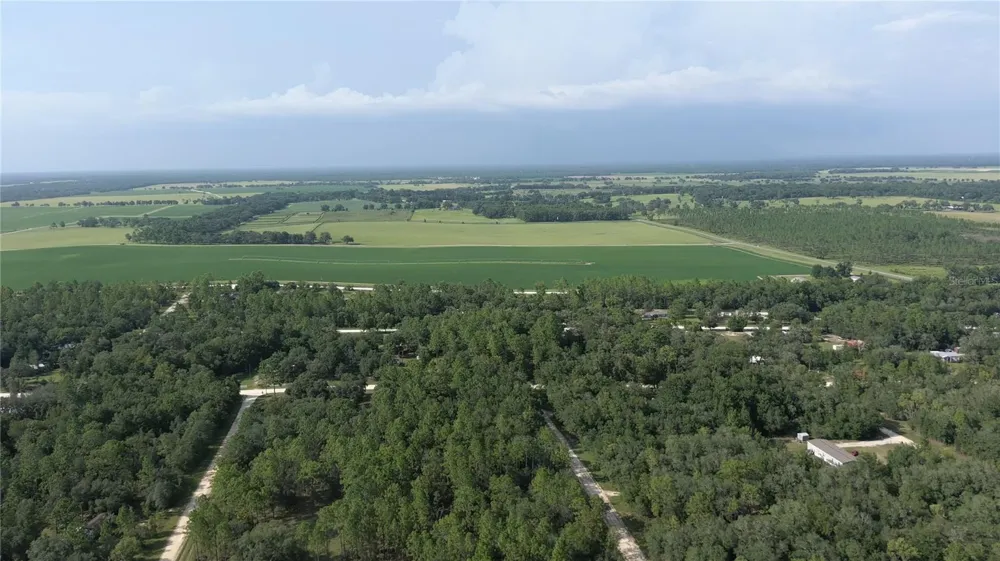 650 NE 138 AVENUE Williston, FL 32696