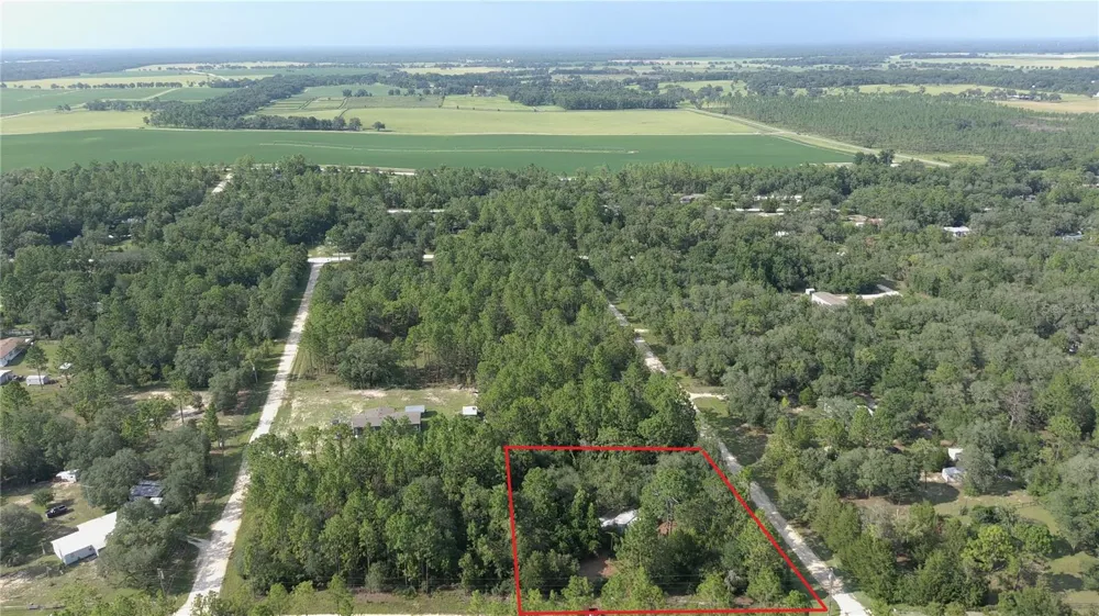 650 NE 138 AVENUE Williston, FL 32696