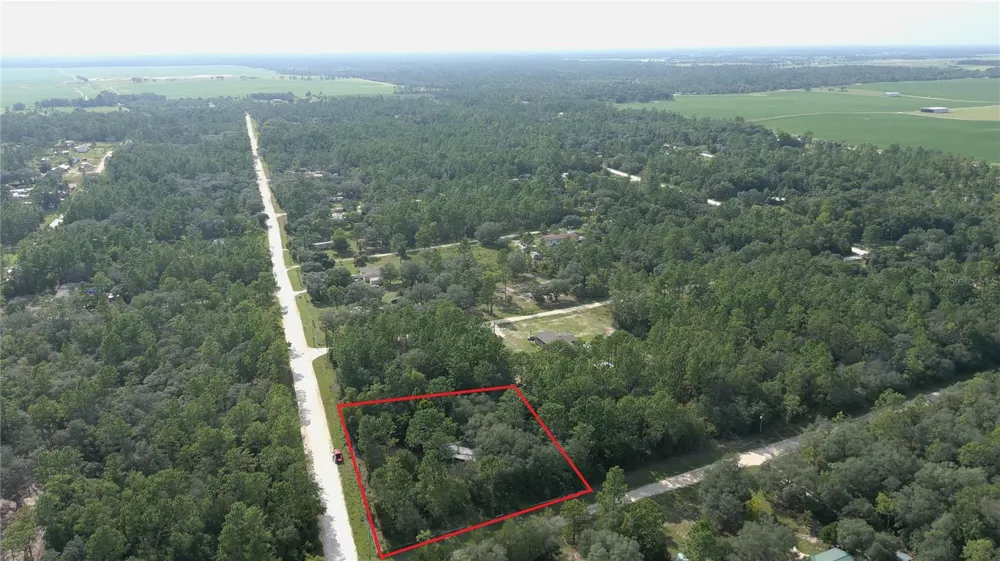 650 NE 138 AVENUE Williston, FL 32696
