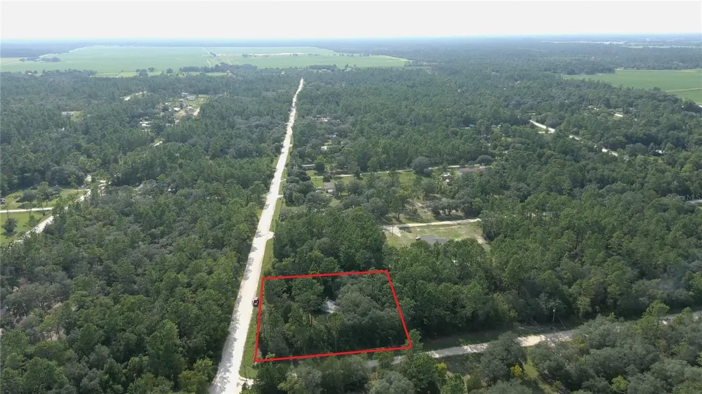 650 NE 138 AVENUE Williston, FL 32696