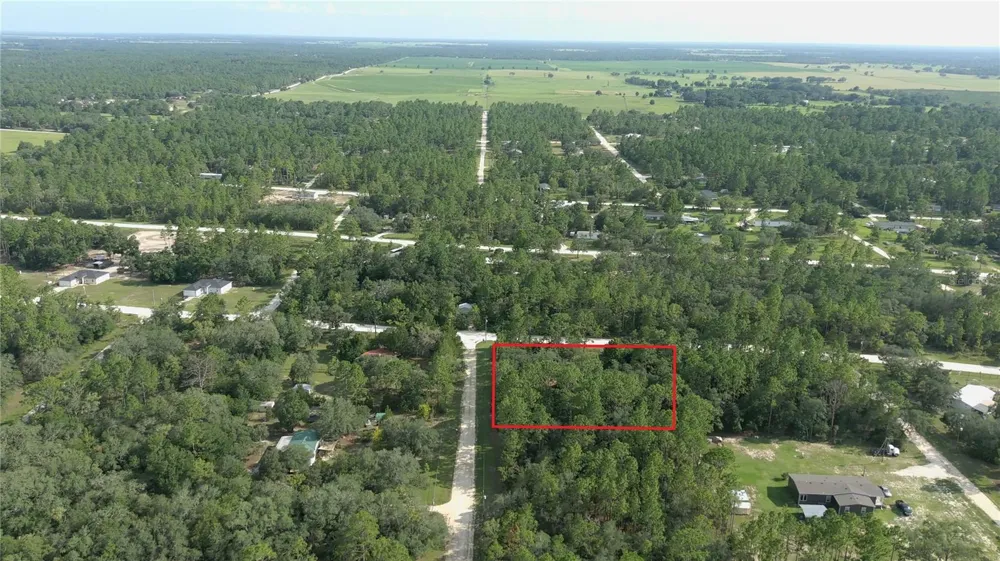 650 NE 138 AVENUE Williston, FL 32696