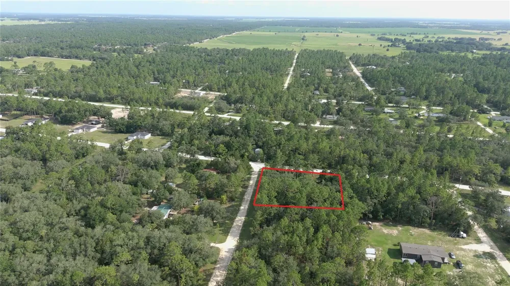 650 NE 138 AVENUE Williston, FL 32696