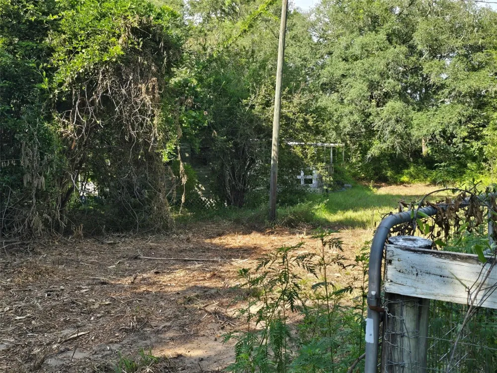 650 NE 138 AVENUE Williston, FL 32696