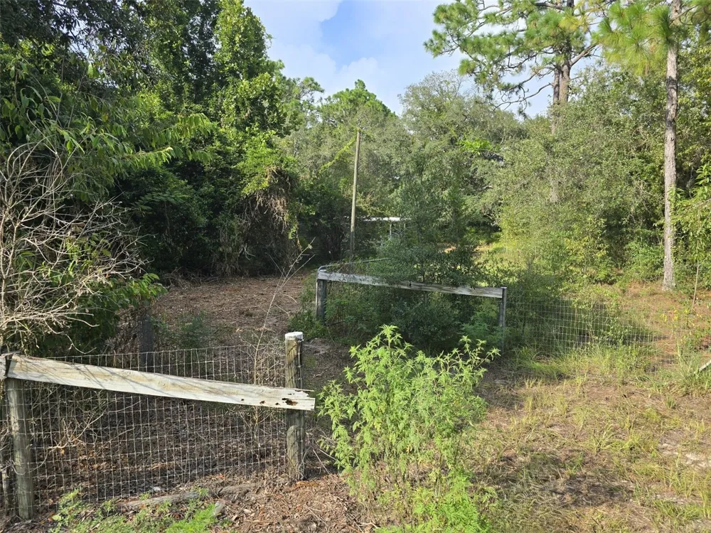 650 NE 138 AVENUE Williston, FL 32696