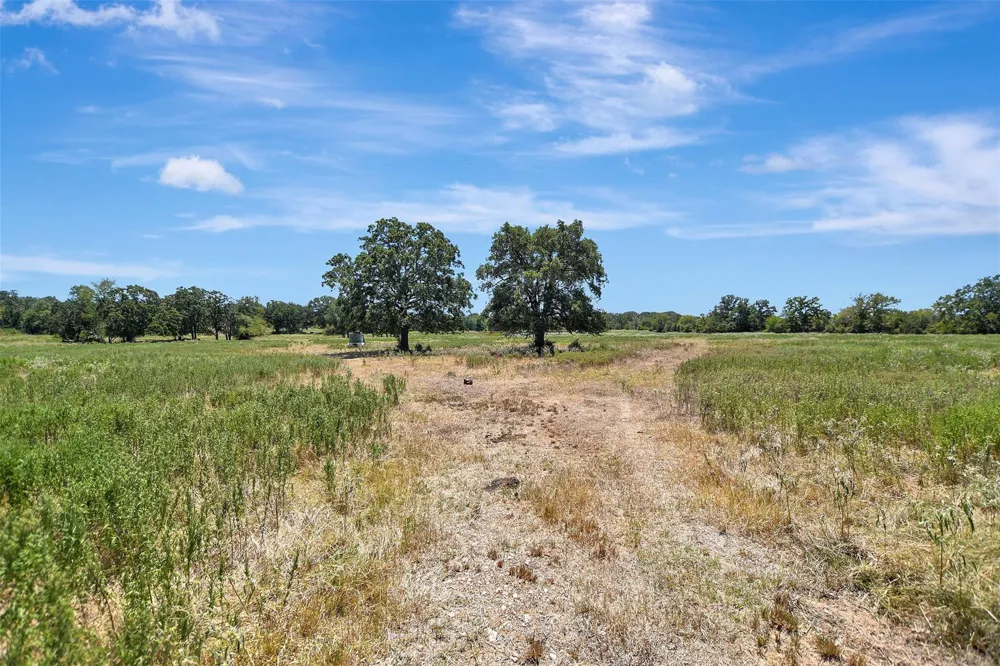 9596 Wallace Road Midway, TX 75852