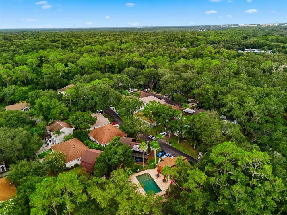 2621 FIDDLESTICK CIRCLE Lutz, FL 33559