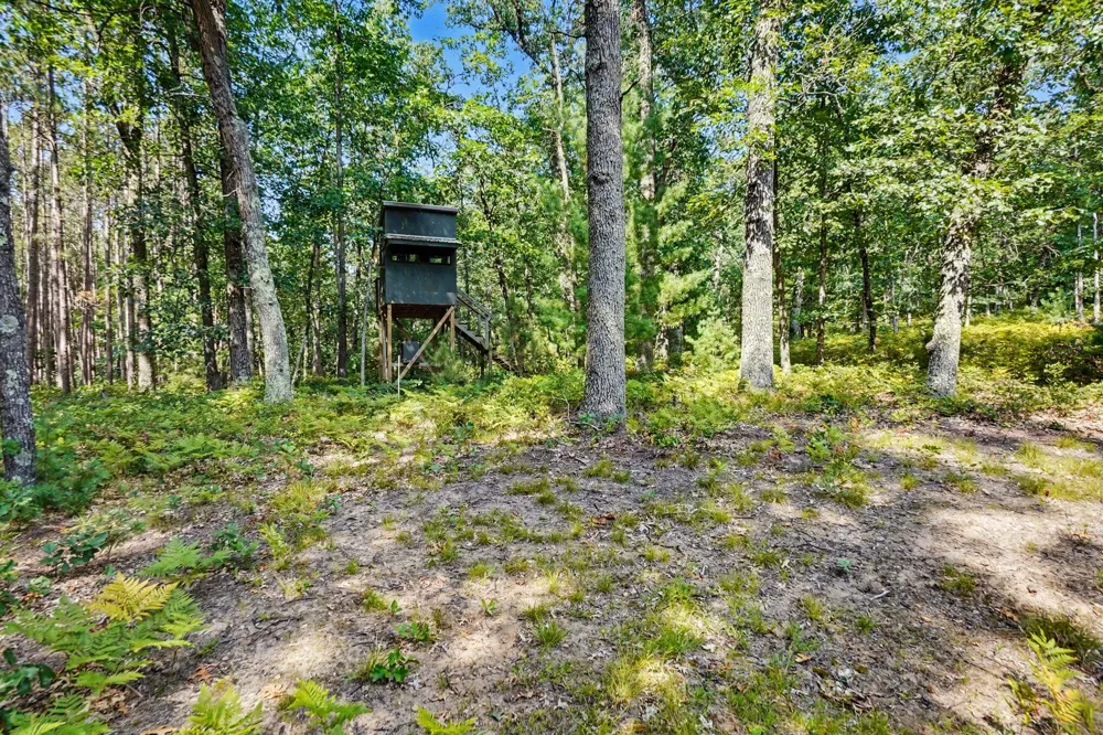 11023 S Roby Lake Drive Lake Township, MI 49304