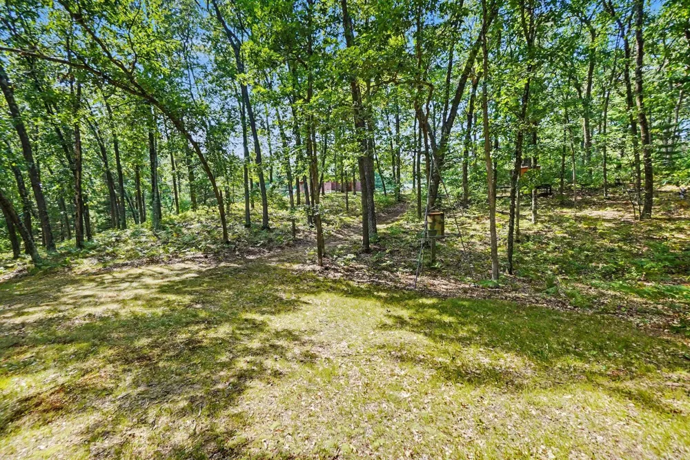 11023 S Roby Lake Drive Lake Township, MI 49304
