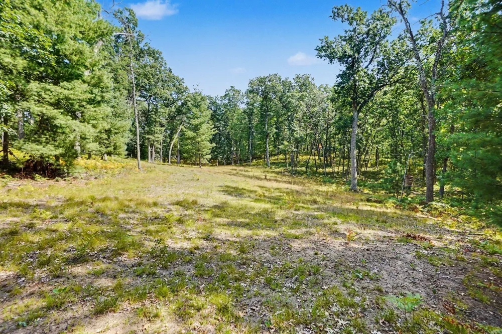 11023 S Roby Lake Drive Lake Township, MI 49304